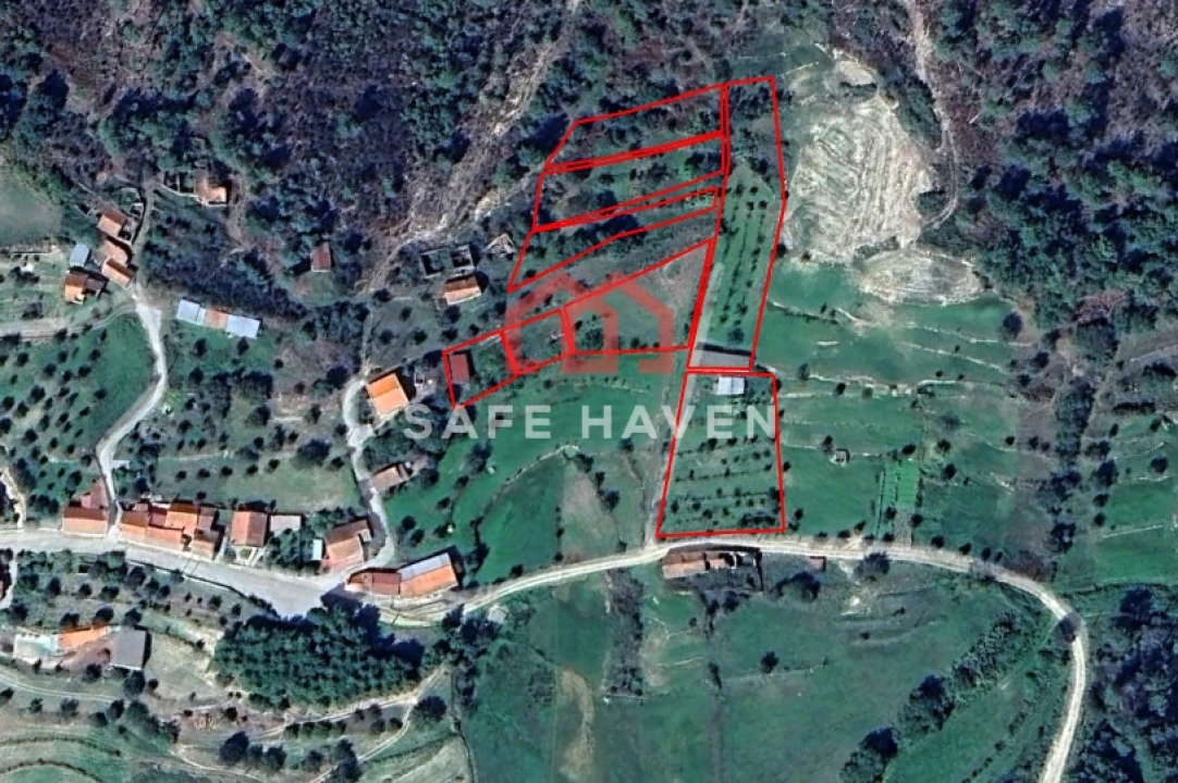 Terreno Agricola ou Rústico para Venda em Santiago de Cassurrães e Póvoa de Cervães Foto 1