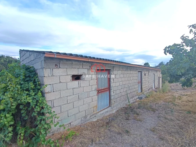 Terreno Agricola ou Rústico para Venda em Santiago de Cassurrães e Póvoa de Cervães Foto 2