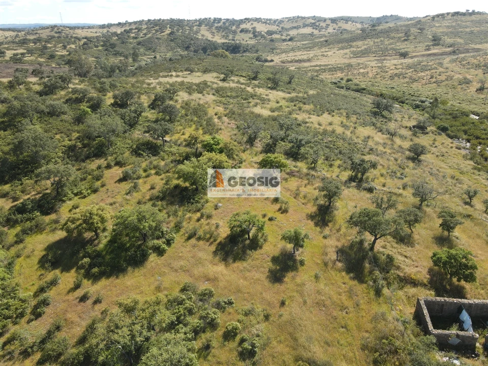 Quinta T0 para Venda em Almodôvar e Graça dos Padrões Foto 37