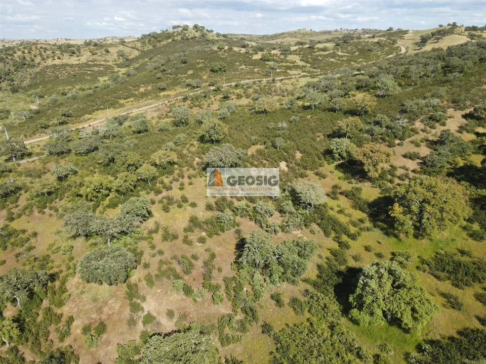 Quinta T0 para Venda em Almodôvar e Graça dos Padrões Foto 39