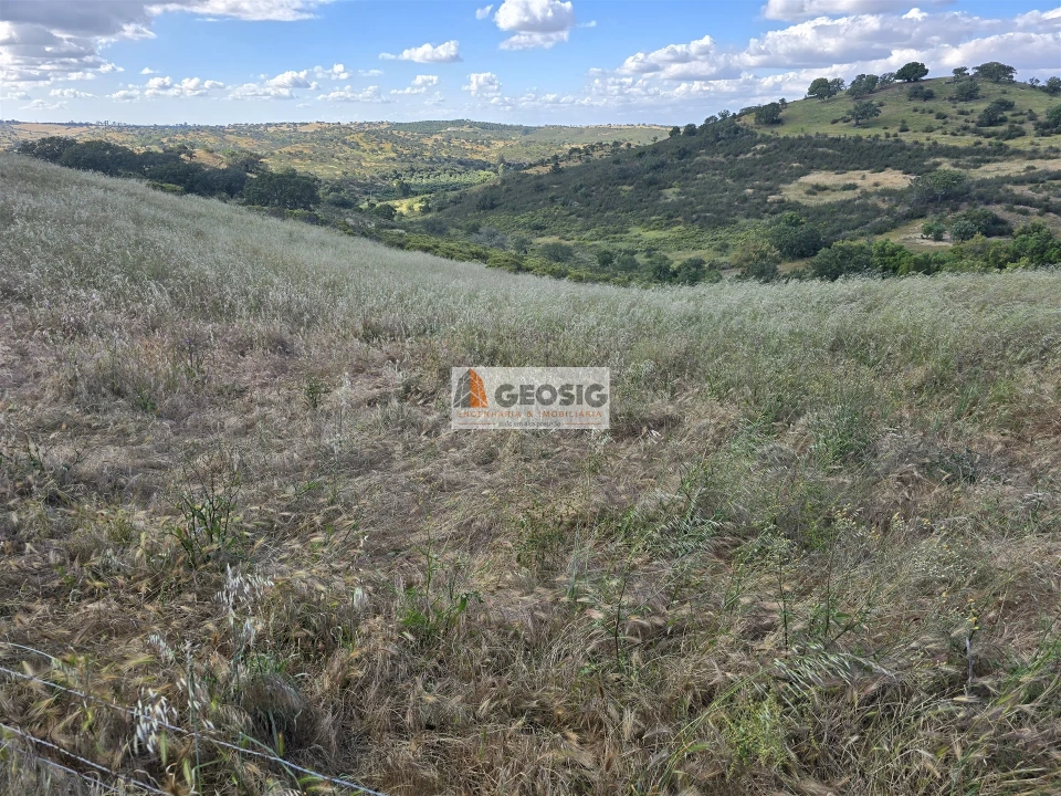 Quinta T0 para Venda em Almodôvar e Graça dos Padrões Foto 50