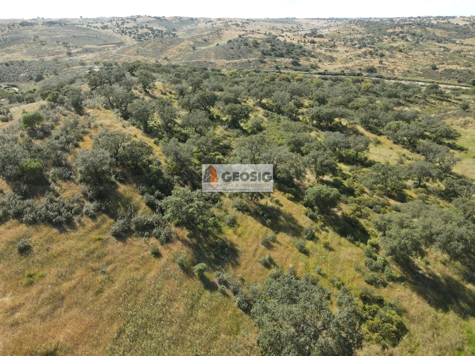 Quinta T0 para Venda em Almodôvar e Graça dos Padrões Foto 26