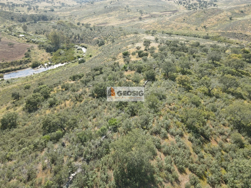 Quinta T0 para Venda em Almodôvar e Graça dos Padrões Foto 28