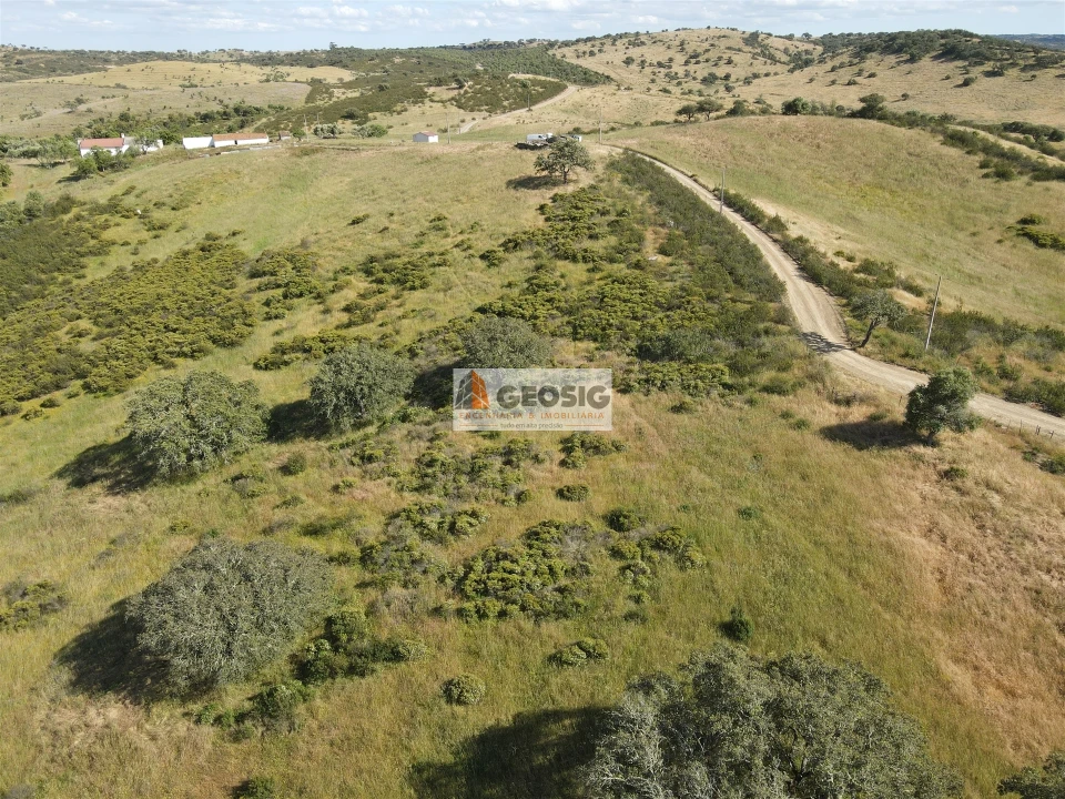 Quinta T0 para Venda em Almodôvar e Graça dos Padrões Foto 47