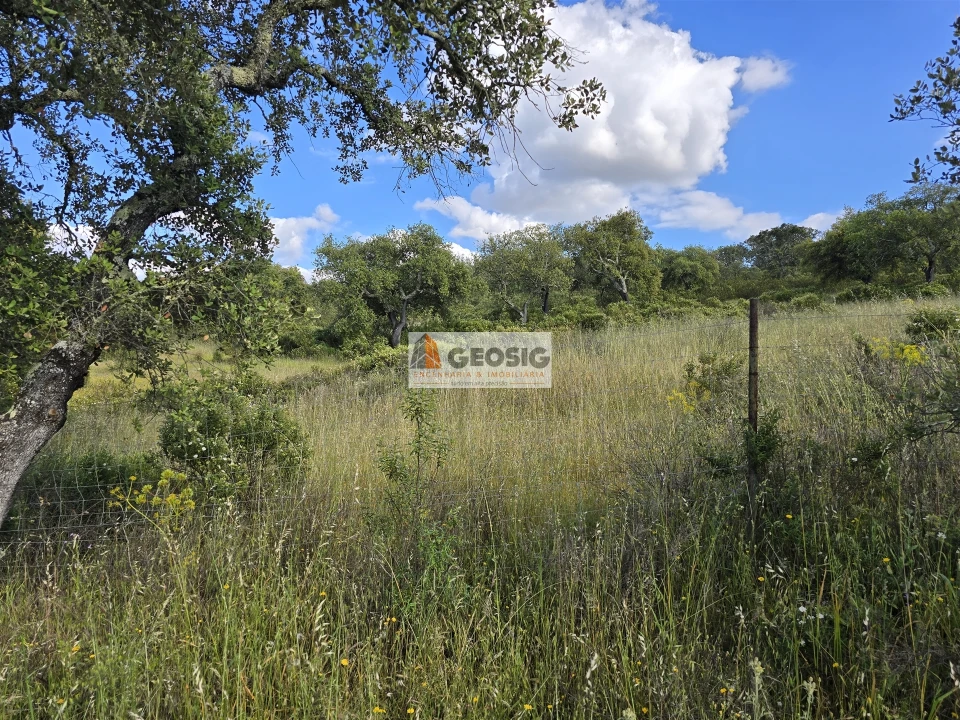 Quinta T0 para Venda em Almodôvar e Graça dos Padrões Foto 61