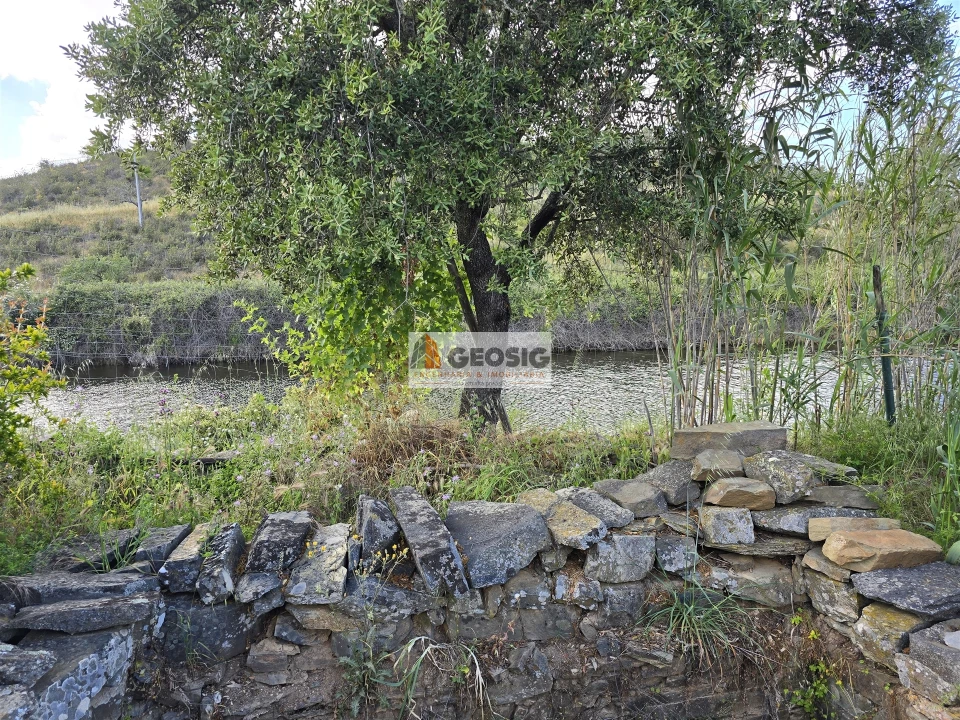 Quinta T0 para Venda em Almodôvar e Graça dos Padrões Foto 58