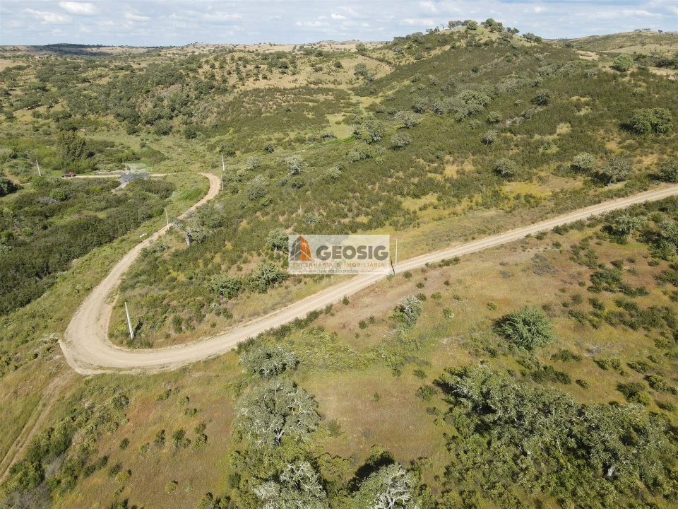 Quinta T0 para Venda em Almodôvar e Graça dos Padrões Foto 41