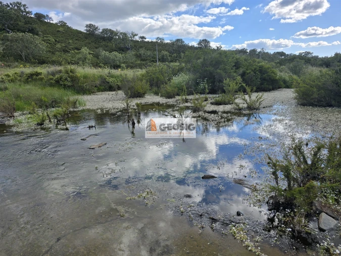 Quinta T0 para Venda em Almodôvar e Graça dos Padrões Foto 63