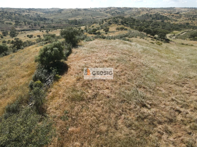 Quinta T0 para Venda em Almodôvar e Graça dos Padrões Foto 22