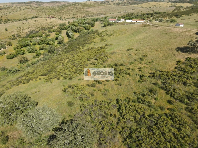 Quinta T0 para Venda em Almodôvar e Graça dos Padrões Foto 34