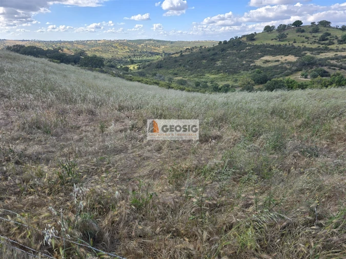 Quinta T0 para Venda em Almodôvar e Graça dos Padrões Foto 50