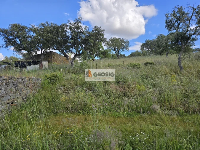 Quinta T0 para Venda em Almodôvar e Graça dos Padrões Foto 60