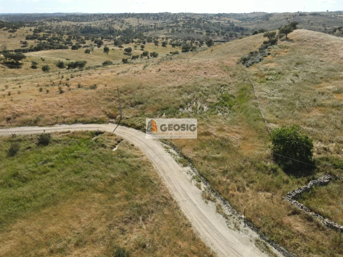 Quinta T0 para Venda em Almodôvar e Graça dos Padrões Foto 20