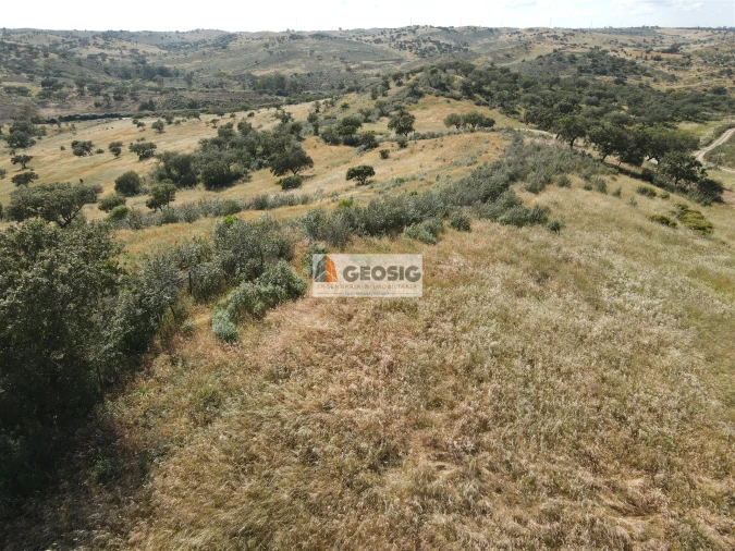 Quinta T0 para Venda em Almodôvar e Graça dos Padrões Foto 23