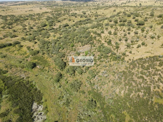 Quinta T0 para Venda em Almodôvar e Graça dos Padrões Foto 43