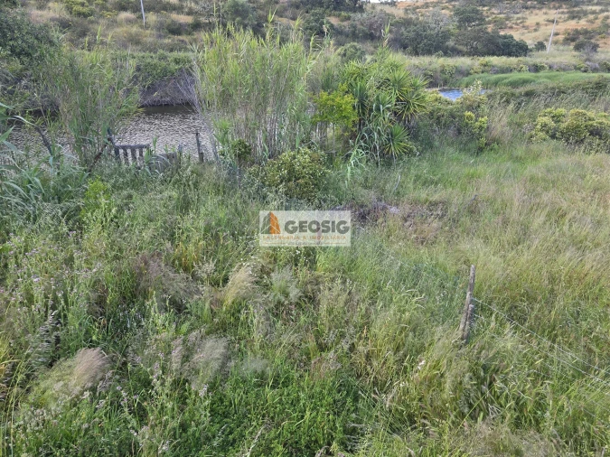 Quinta T0 para Venda em Almodôvar e Graça dos Padrões Foto 56