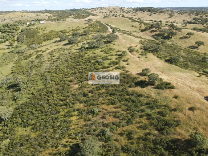 Quinta T0 para Venda em Almodôvar e Graça dos Padrões Foto 46