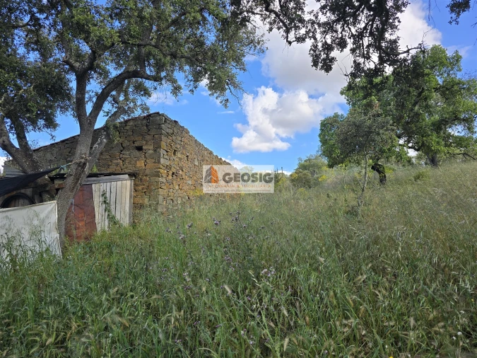 Quinta T0 para Venda em Almodôvar e Graça dos Padrões Foto 53