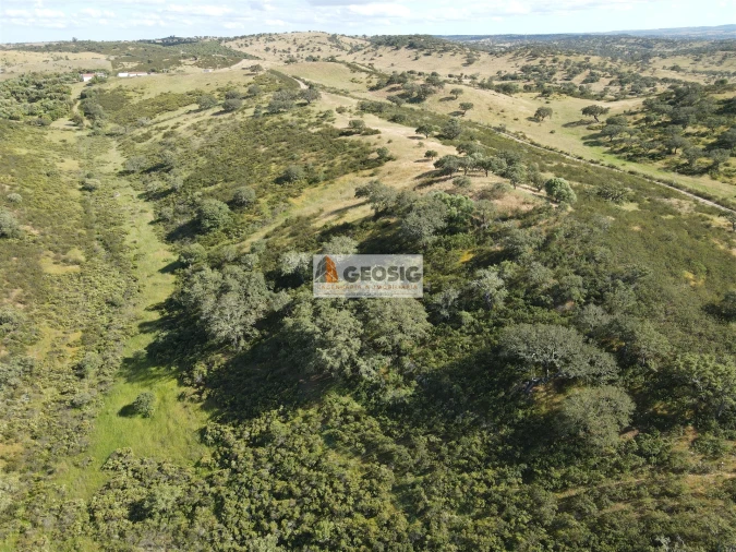 Quinta T0 para Venda em Almodôvar e Graça dos Padrões Foto 45