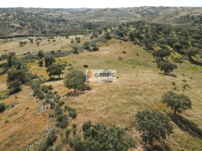 Quinta T0 para Venda em Almodôvar e Graça dos Padrões Foto 25