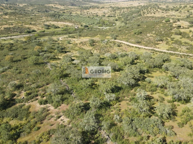 Quinta T0 para Venda em Almodôvar e Graça dos Padrões Foto 30