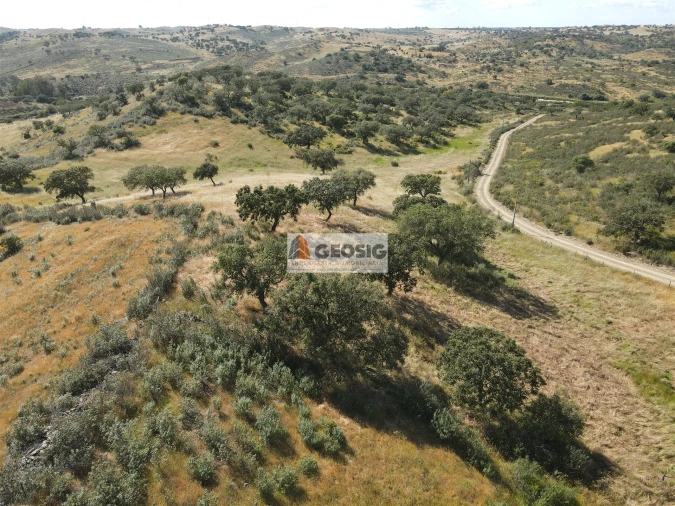 Quinta T0 para Venda em Almodôvar e Graça dos Padrões Foto 24