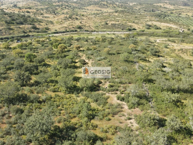 Quinta T0 para Venda em Almodôvar e Graça dos Padrões Foto 29