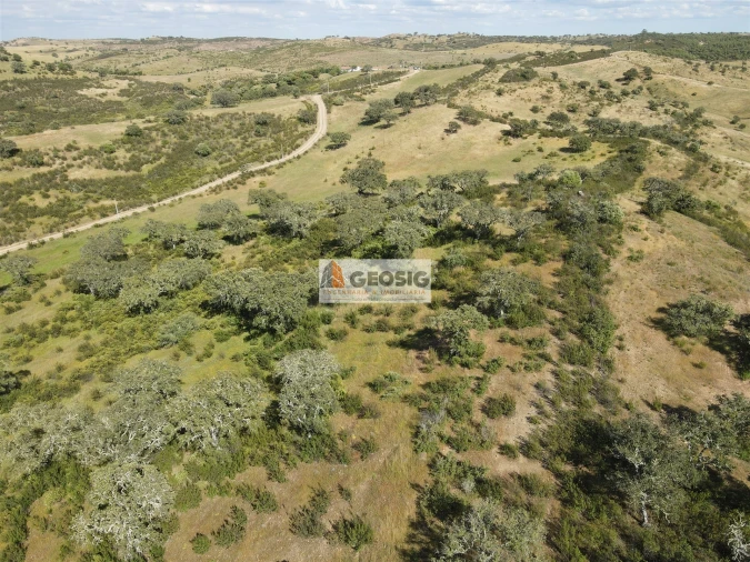 Quinta T0 para Venda em Almodôvar e Graça dos Padrões Foto 31