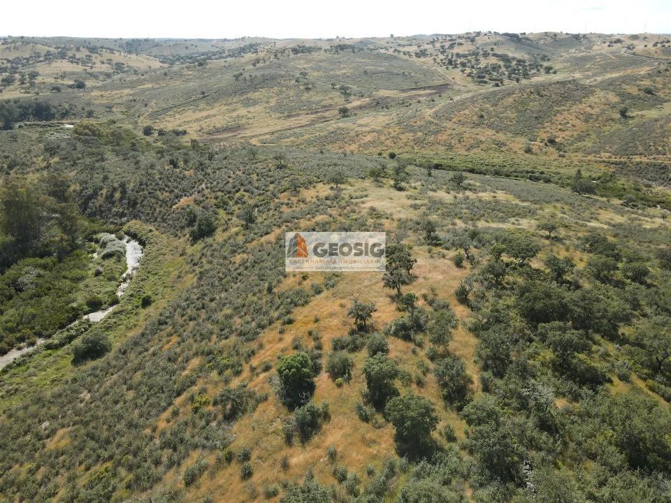 Quinta T0 para Venda em Almodôvar e Graça dos Padrões Foto 32