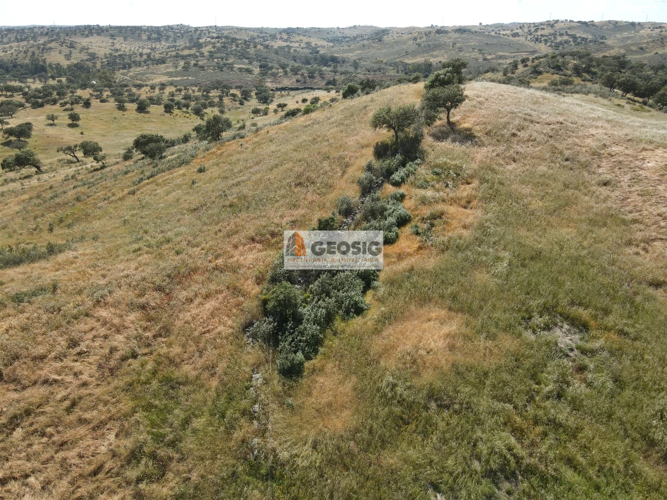 Quinta T0 para Venda em Almodôvar e Graça dos Padrões Foto 21