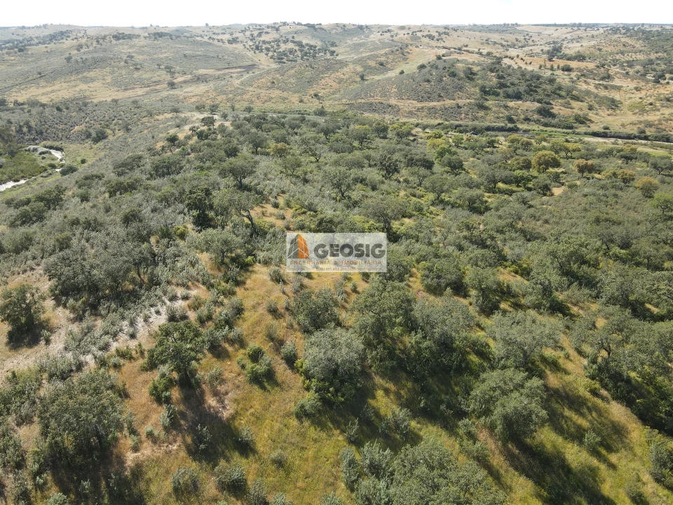 Quinta T0 para Venda em Almodôvar e Graça dos Padrões Foto 27