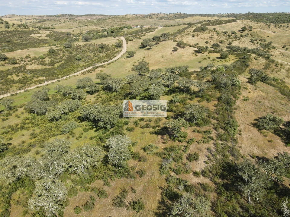 Quinta T0 para Venda em Almodôvar e Graça dos Padrões Foto 31