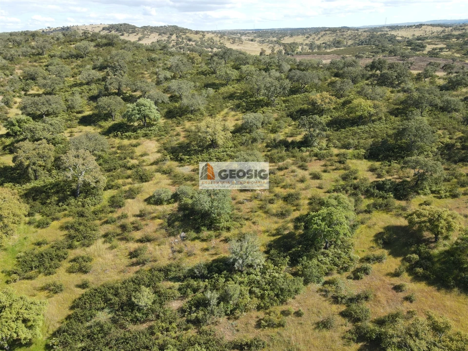 Quinta T0 para Venda em Almodôvar e Graça dos Padrões Foto 38
