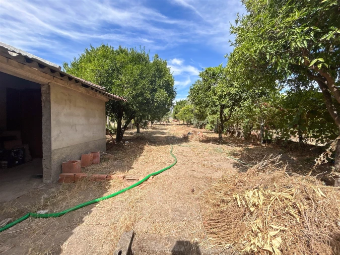 Moradia T6 para Venda em Escalos de Cima e Lousa Foto 69