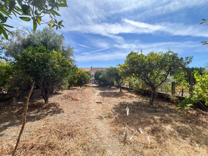 Moradia T6 para Venda em Escalos de Cima e Lousa Foto 74