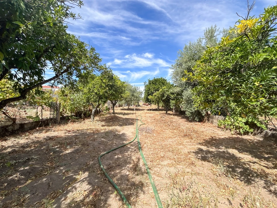 Moradia T6 para Venda em Escalos de Cima e Lousa Foto 72