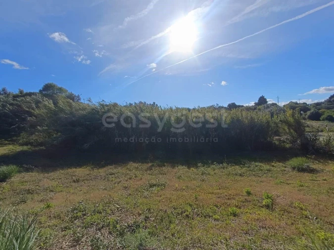 Terreno para Venda em Torres Novas (Santa Maria, Salvador e Santiago) Foto 2