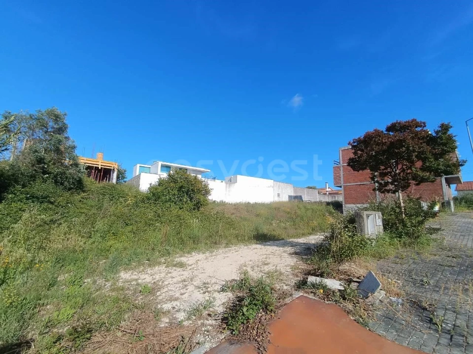 Terreno para Venda em Torres Novas (Santa Maria, Salvador e Santiago) Foto 3