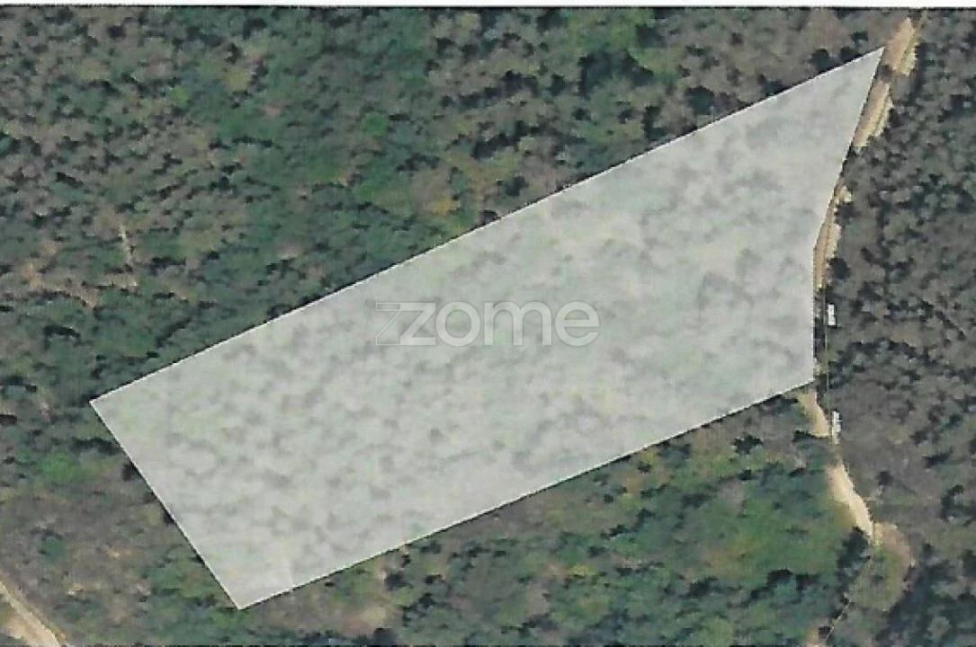 Terreno para Venda em Folques Foto 9