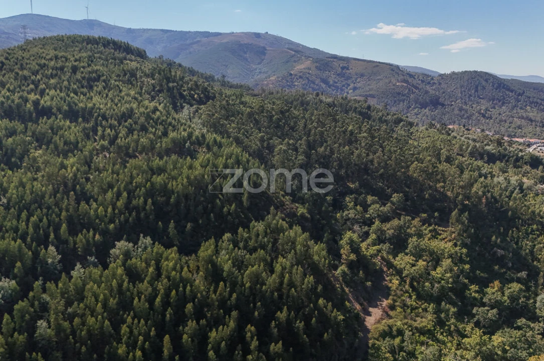Terreno para Venda em Folques Foto 5