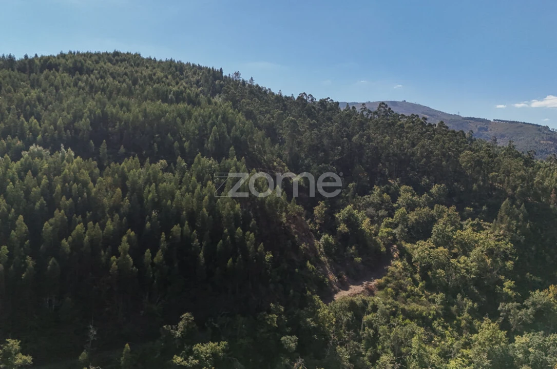 Terreno para Venda em Folques Foto 4