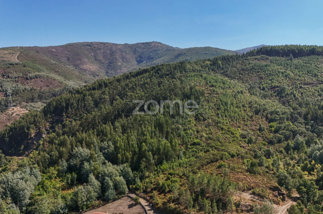 Terreno para Venda em Folques Foto 7