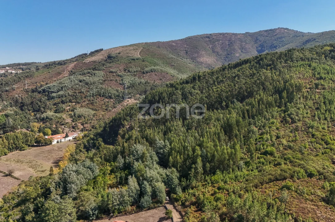 Terreno para Venda em Folques Foto 2