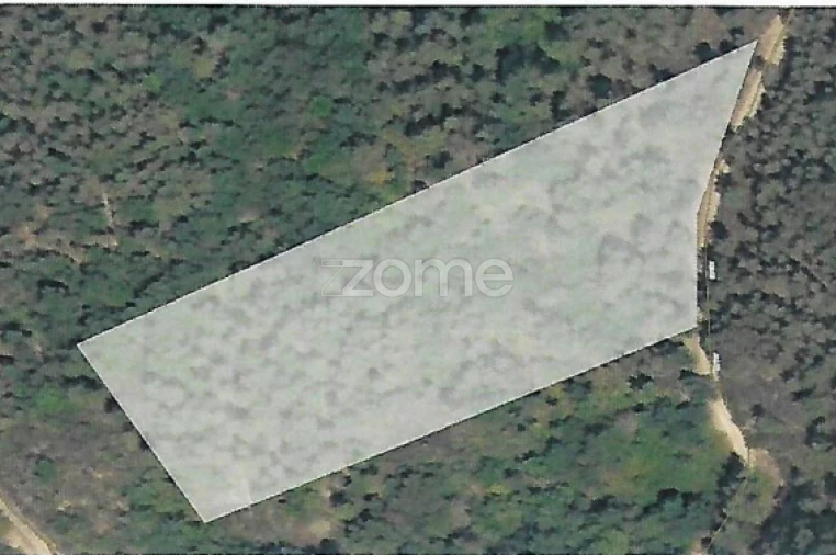 Terreno para Venda em Folques Foto 9