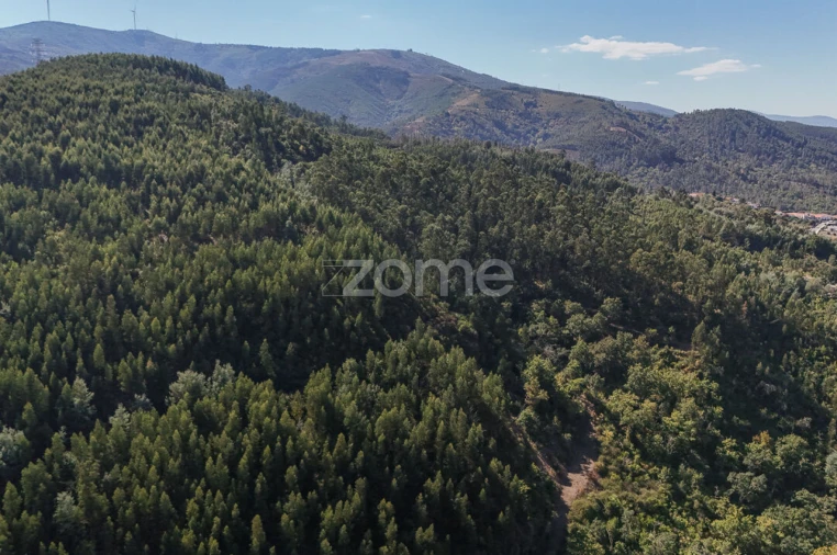 Terreno para Venda em Folques Foto 5