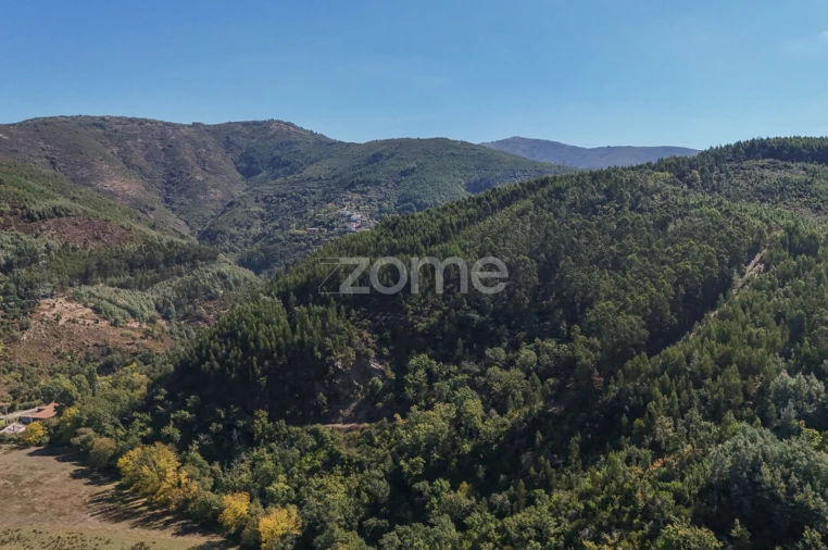Terreno para Venda em Folques Foto 6