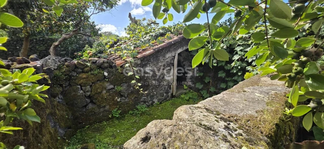 Moradia T4 para Venda em Terra Chã Foto 28