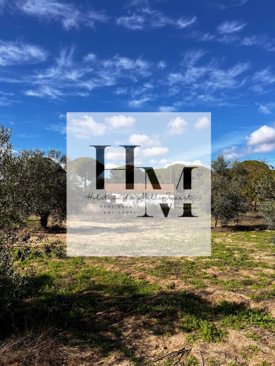 Terreno para Venda em Santa Maria do Castelo e Santiago e Santa Susana Foto 2