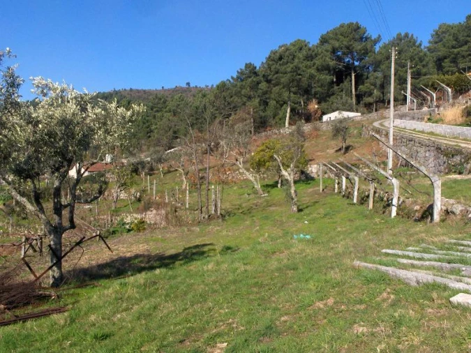 Terreno Agricola ou Rústico para Venda em Gestaço Foto 1