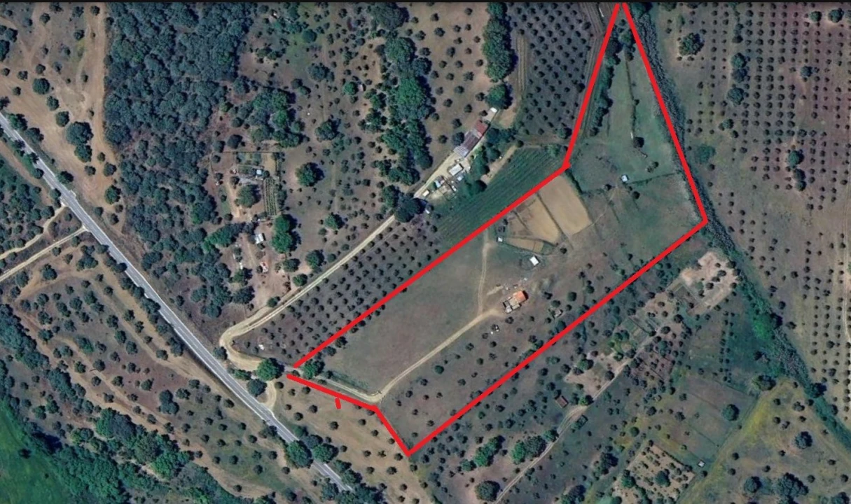 Terreno Agricola ou Rústico para Venda em Abrantes (São Vicente e São João) e Alferrarede Foto 1